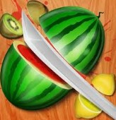 Fruit Slicer
